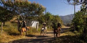 horseback riding teotitlan del valle