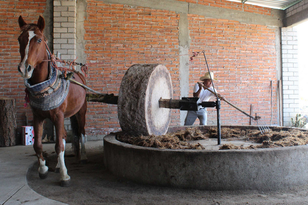 mezcal palenque, matalan oaxaca mexico