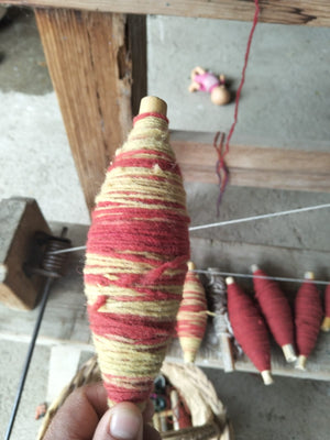 Guæl: the milpa system